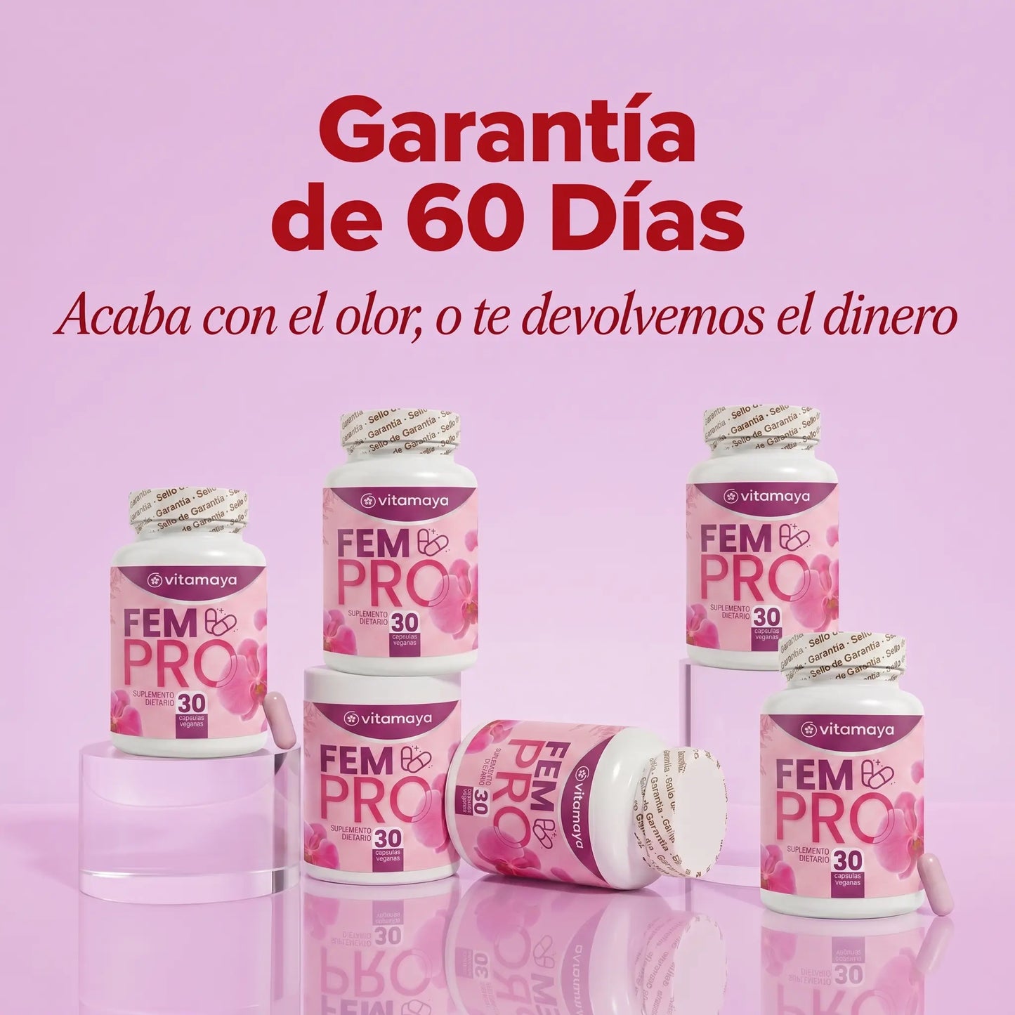 VitaMaya - Rompe el Ciclo de Infecciones