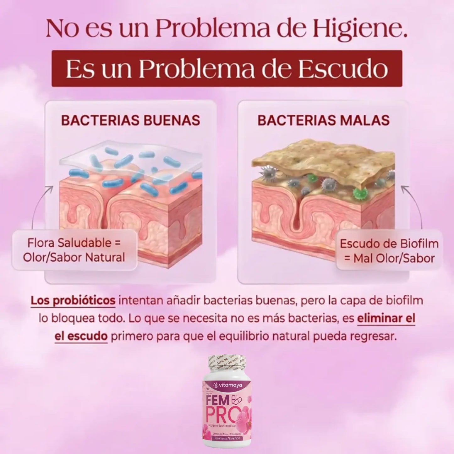 VitaMaya - Rompe el Ciclo de Infecciones
