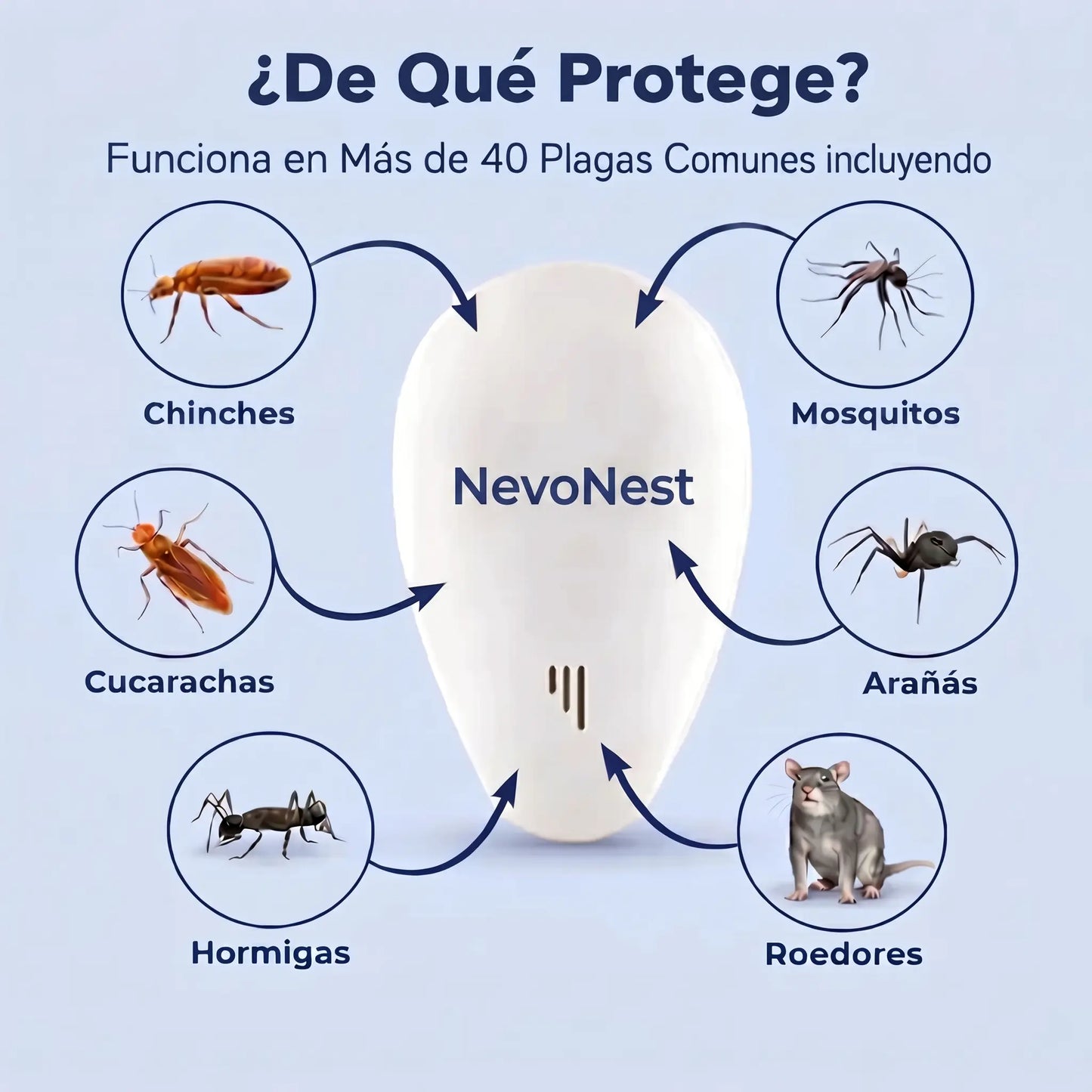 NevoNest | Recupera Tu Hogar