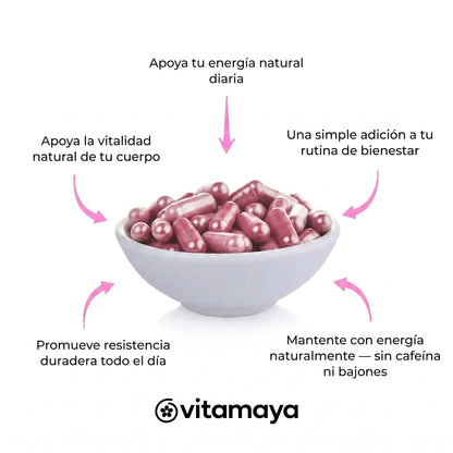 Vitamaya - Soporte de Vitalidad